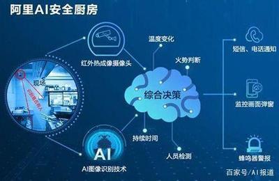 阿里AI榮膺WebVision圖像識別冠軍，華為云躋身前三，人工智能應用軟件發展邁入新階段